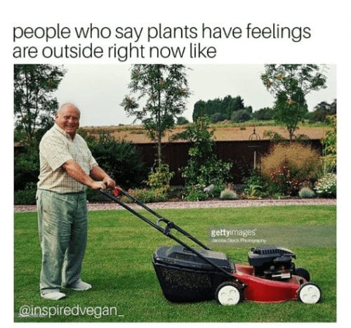 People Who Say Plants Have Feelings Are Outside Right Now Like | Vegan ...