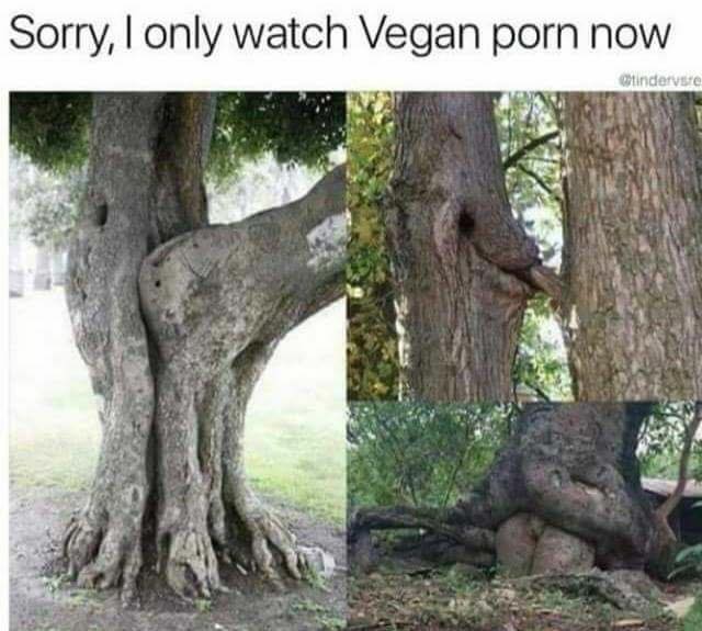 Pornographic Memes - Sorry I Only Watch Vegan Porn Now | Vegan Memes | Totally Vegan Buzz