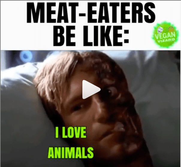 Meat Eaters Be Like Vegan Memes Totally Vegan Buzz