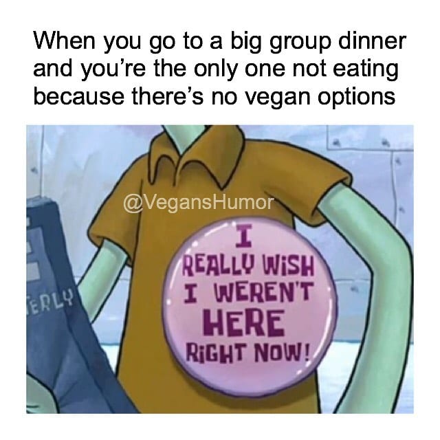 I Really Wish | Vegan Memes | Totally Vegan Buzz