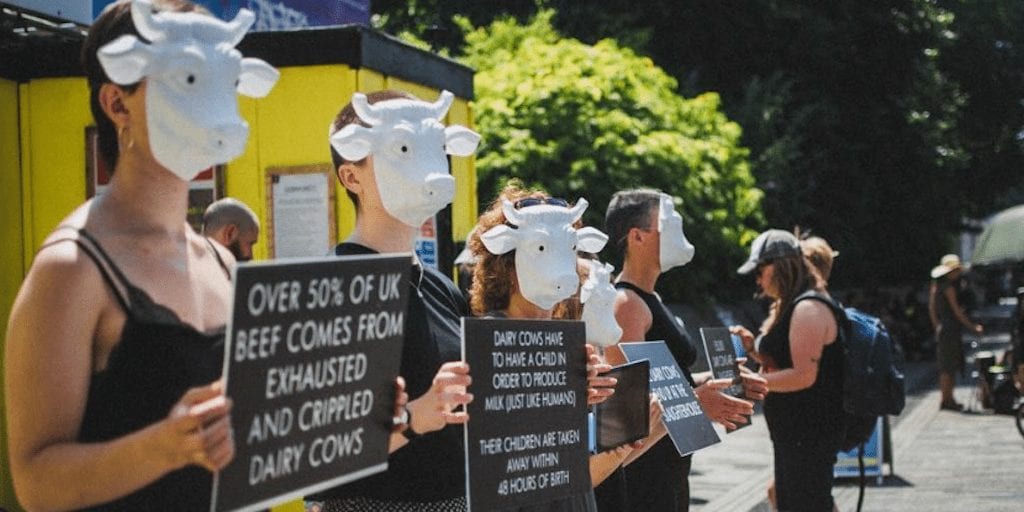 The controversial vegan activist fighting for animal rights