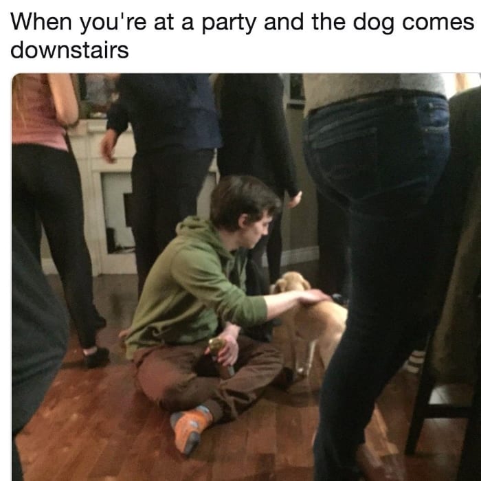 When you're at a party and the dog comes downstairs