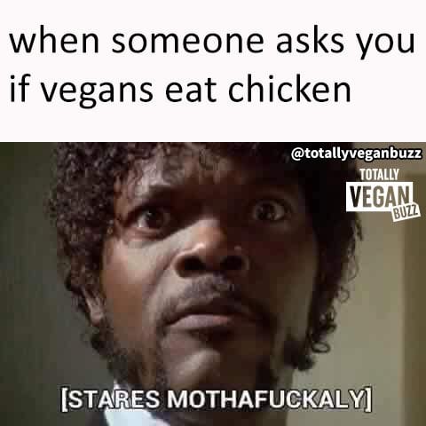 When someone asks you if vegans eat chicken