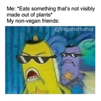 My non-vegans friends be like: | Totally Vegan Buzz