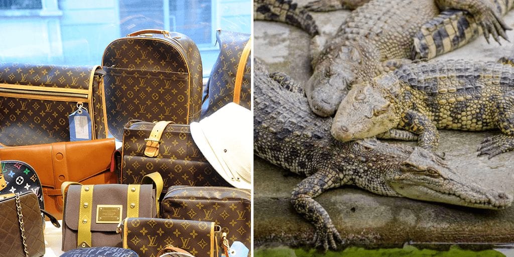 Animal rights activist Peta buys stake in Louis Vuitton  BBC News